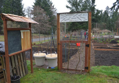 The Fox Island Community Garden